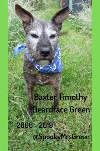 Baxter Timothy Beardface Green